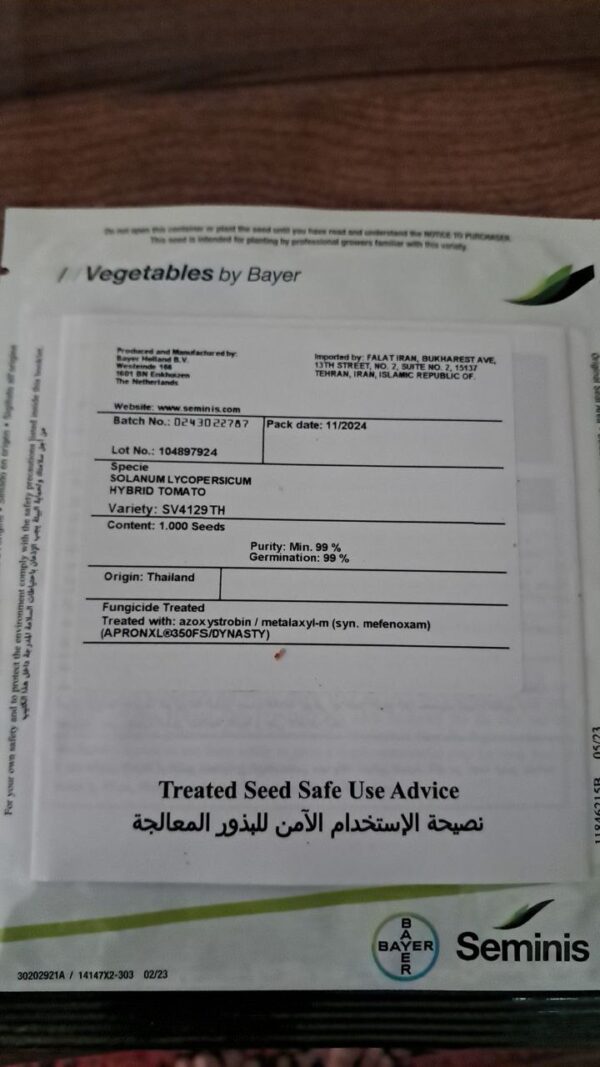 بذر گوجهفرنگی هیبرید SV4129TH برند سمینیس 4129 - تصویر 2
